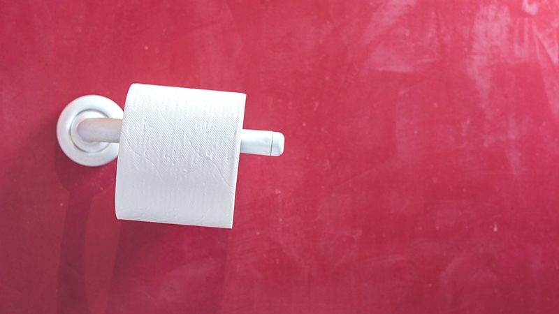 Toilet Giant consumer products case study