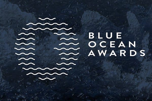 learnmore-blue-ocean-award