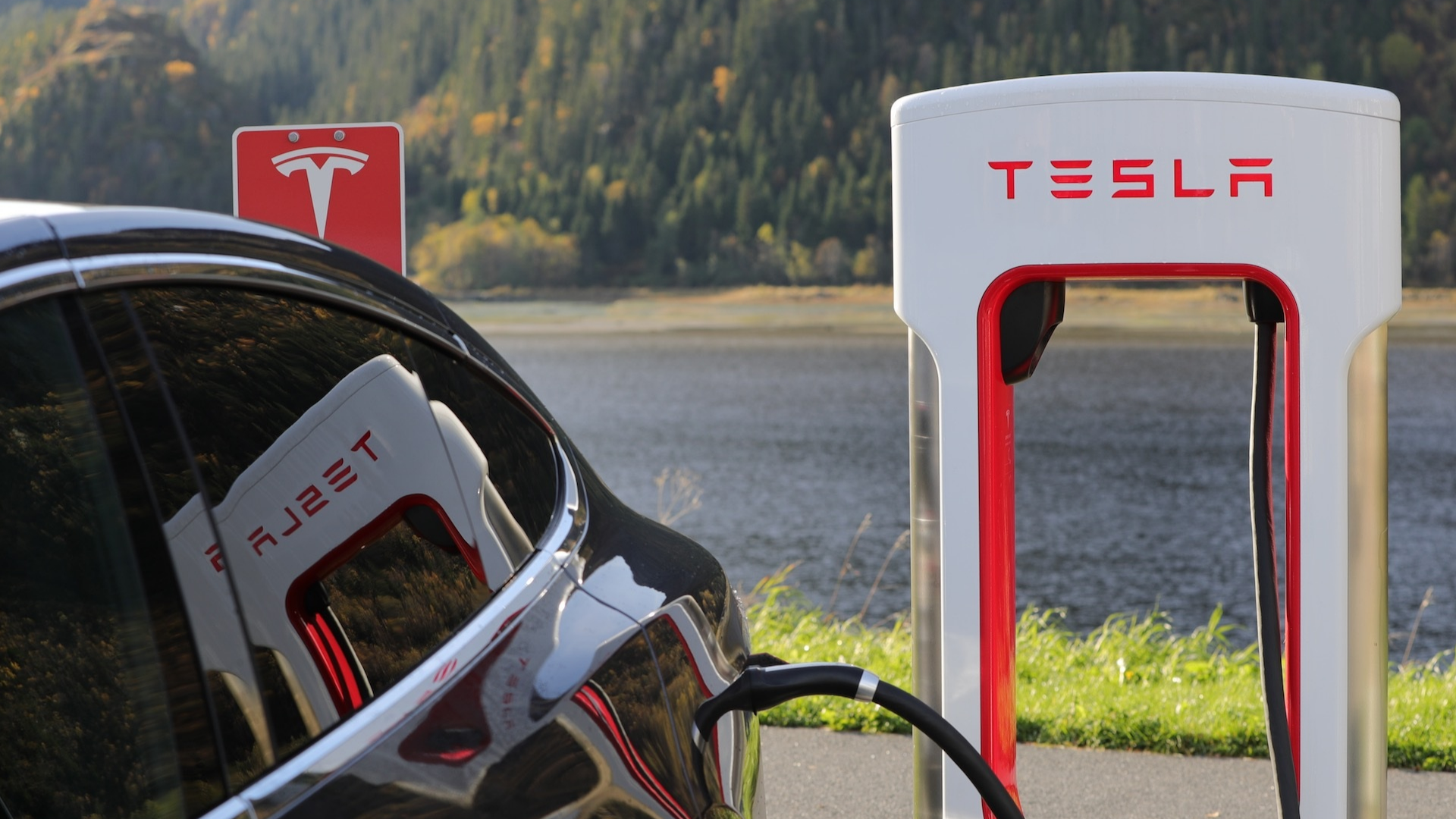 Tesla-value-innovation Medical tourism in Thailand is a blue ocean.