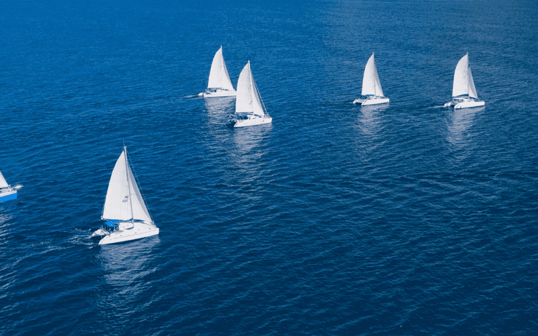 7 Powerful Blue Ocean Strategy Examples That Left the Competition Behind