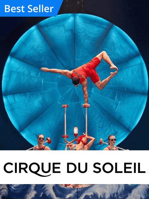 Cirque Du Soleil case study