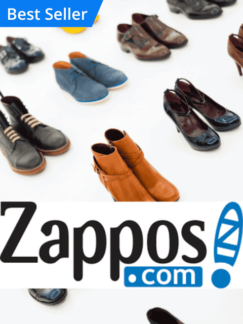 Zappos case study