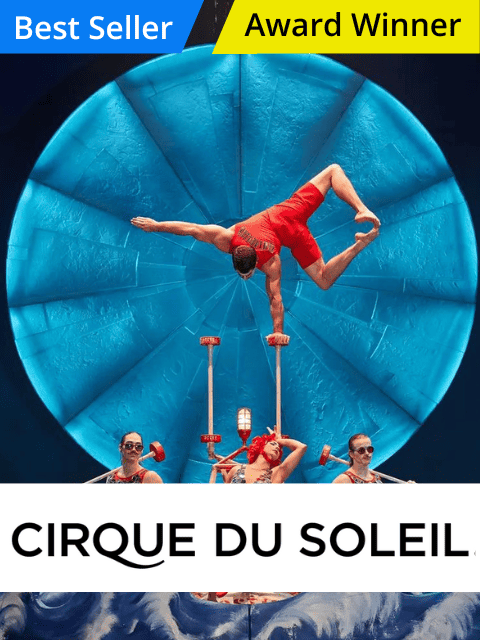 cirque du soleil case study
